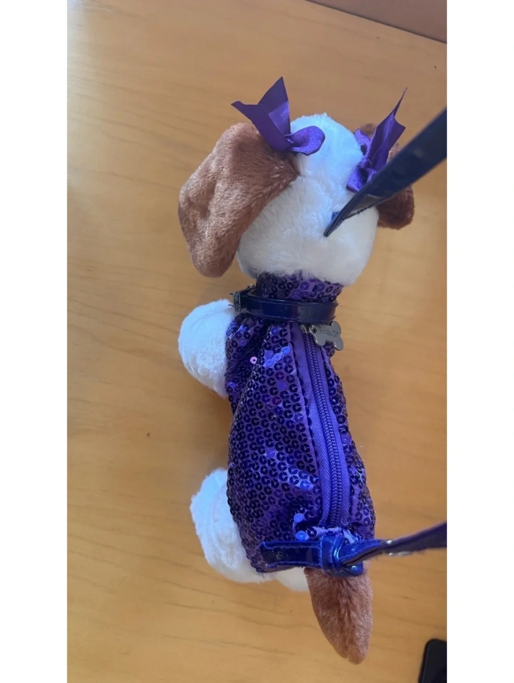 N/A child’s pooch